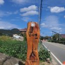 담아정 | 충남 옥천카페 담아정 오픈후기