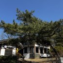 대청마루 조촌점(시청) | [경기 화성] 봄나들이 하러 가기 좋은 화성시청 카페 소담정원 화성남양점