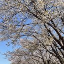 다덕약수관광지 이미지