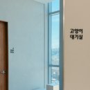 리엔동물의료센터 네이버블로그