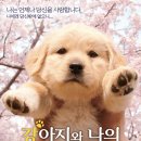 강아지와 나 이미지