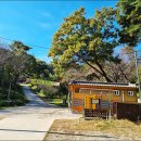 남산 홍주사 이미지