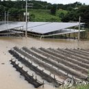 금강 태양광 이미지