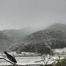 화정농장1 이미지