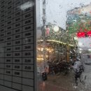 선림2농장 네이버블로그