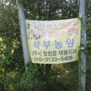 외남목장 네이버블로그