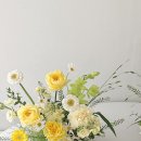 온화앤유 이미지