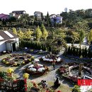 태안행정사 이미지