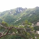 향산유원지 이미지