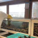 풍성한할인마트 이미지