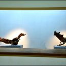 조록나무 뿌리 형상물 이미지