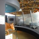 광주교육대학교박물관 이미지