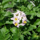 재구농장 이미지