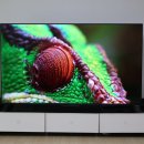 놀라운 화질과 성능! 50W 사운드와144Hz 미니LED 화질의 놀라운 스펙 그에 비한 가성비까지 잡은...