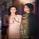 디자인 벨라