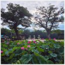 2698 | ☆산청 맛집 ☆ 문산선지국 산청1호점 얼큰하고 깔끔한 내장탕 후기(#내돈내산)