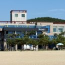 시닉 티스토리