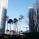 영종 신명 스카이뷰 주얼리아파트 이미지