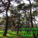 2013년 열세번째 캠핑(5.4~5.5) 밀양 기회송림 이미지