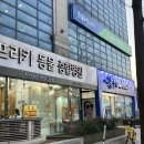 다비치안경서현점 | 분당속눈썹펌 SY수영뷰티｜서현역 속눈썹펌 컬 대만족 후기!