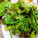 둘둘오리 이미지