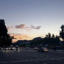 다이소 경동시장점 | [2025. 07. 26-07. 31] 경동시장에 다녀온 7월 월기(6)