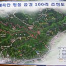 연축사 Daum카페