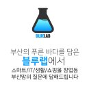 (재난)국민지원금 신한카드 신청시 확인방법 이미지