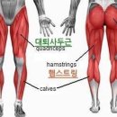 젠틀짐 - 김해시 율하로 474 | 젠틀짐