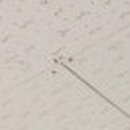 여의도진주소아청소년과의원 이미지