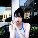 더지젤 이미지