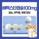 메디브로 | 진통소염제 쎄렉스타캡슐100mg 효능 효과 정보 동일성분 부작용 복용법
