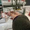 안경상회 광주양산점 이미지