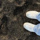 삼광목장 이미지