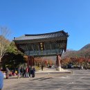 불갑사 산림박물관 | 영광 가볼만한 곳 &#39;불갑사&#39; 11월 단풍 후기, 입장료, 주차