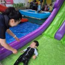 양산보듬이나눔이어린이집 | 경상남도 양산시어린이집 시립양산보듬이나눔이어린이집 여름이야기
