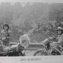태송 이미지