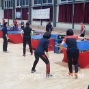 거제시탁구장 (주)거제타임즈