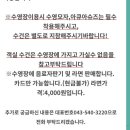 하늘휴양마을 | 속리산 숲체험휴양마을 숙박 후기｜상고석문2 한옥에서 힐링한 1박