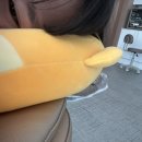 쎈언니포차 - 순천시 | [일상] 너와 함께하는 일주일이 늘 알찬 감자