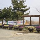 부사리입구 네이버블로그