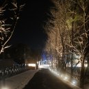 청주 옥화자연휴양림 숲속의집 잣나무동 1호 숙박 후기