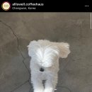 해오하우스 이미지