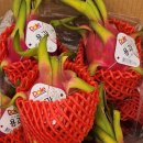 야채청과 | 반곡동야채·과일 신선하게 사는 법! 혁신청과야채 방문 후기