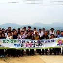 벼락청과