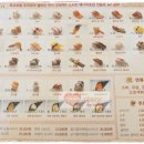 MIN 스시 이미지