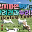 양지파인리조트 이미지