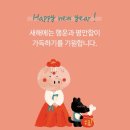 캐리어총판 - 고양시 일산동구 장항로 381-169 | 캐리어총판