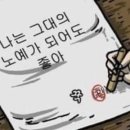 부평 모모 동물병원 이미지