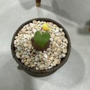 서우농장 이미지